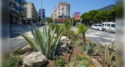 Gaziemir'de su israfını önlemek amacıyla kurakçıl bitkiler dikildi