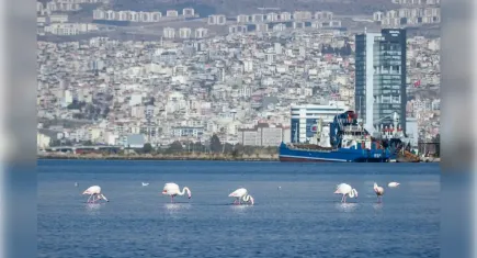 İzmir’de gündem iklim kriziyle mücadele 