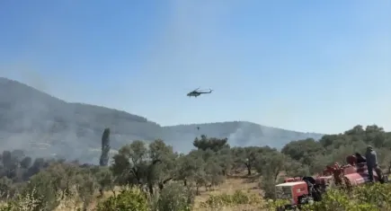 İzmir Kemalpaşa’da ziraat yangını: Zeytin ağaçları zarar gördü