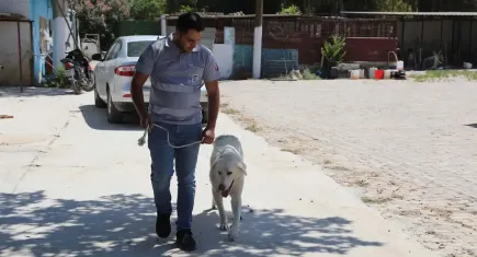 Efes Selçuk Belediyesi’nden duyarlı çağrı: Satın alma sahiplen