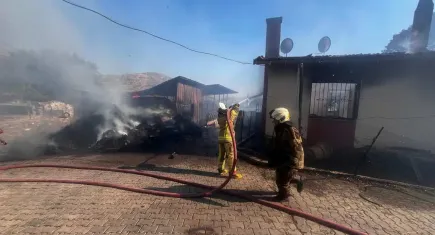 İzmir Bayındır’da ot yangını paniği: Mahalle tahliye edildi, bir kişi yaralandı