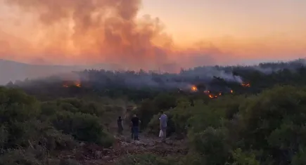 İzmir haber: Urla'daki orman yangını büyük mücadele ile kontrol altında!