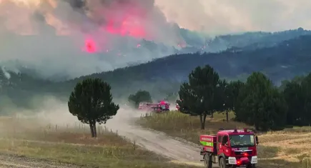 Tabiplerden orman yangını açıklaması: Üzülmeye devam edeceğiz