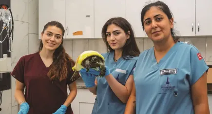 İzmir’de yangından kurtarılan kaplumbağanın tedavisi sürüyor