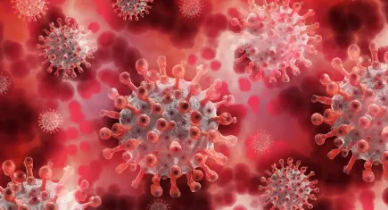 Türk Eczacıları Birliği’nden hepatit uyarısı 