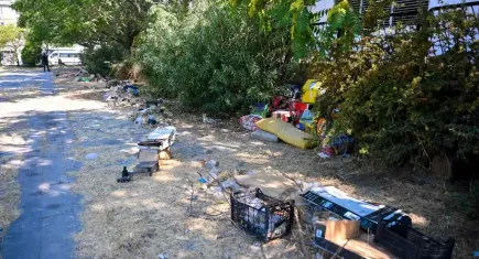 Bornova Belediyesi, Paterson Köşkü çevresindeki atıl alanı temizledi 