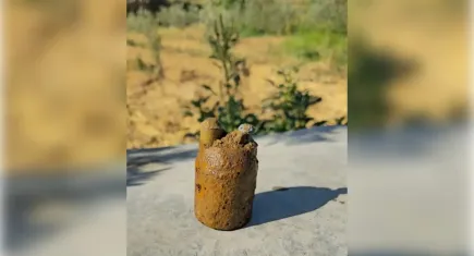 Manisa'da korku dolur anlar!