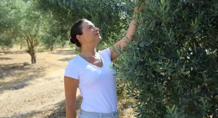Zeytin Yasasına Başkan Sengel’den sert tepki