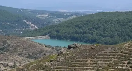 İzmir’in kara lekesi yeşerdi: 6 yılda 6,6 milyon fidanla dev orman yeniden doğdu
