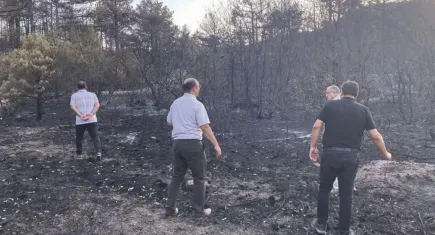 Türk Tabipleri Birliği heyetinden Eskişehir’de orman yangını incelemesi