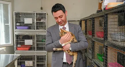 Bayraklı'da sokak hayvanlarına büyük destek: 8 binin üzerinde can dost tedavi edildi