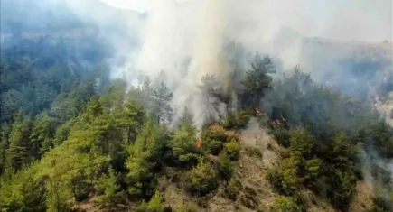Karabük ve Denizli’de orman yangınları