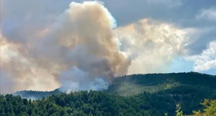 Karabük’te kontrol altına alınan orman yangını yeniden başladı