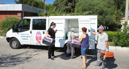 Narlıdere Belediyesi’nden sokak kedileri için kısırlaştırma seferberliği