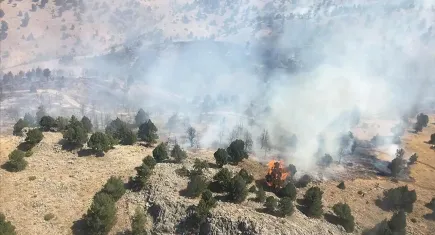 Kahramanmaraş'ta orman yangını!