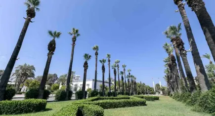 Kültürpark’ın palmiyeleri yapay zeka desteği ile güvende