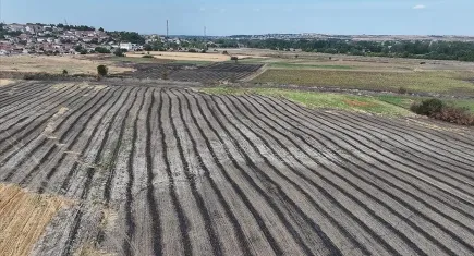 Doç. Dr. Uludağ: Anız yakmak toprağı çöle çeviriyor