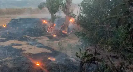 Ödemiş'te otluk alanda çıkan yangın kontrol altına alındı