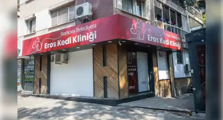 Bornova Belediyesi’nden sokak kedilerine özel klinik