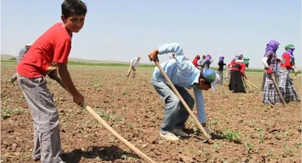 Uzmanından kritik iklim değişikliği uyarısı