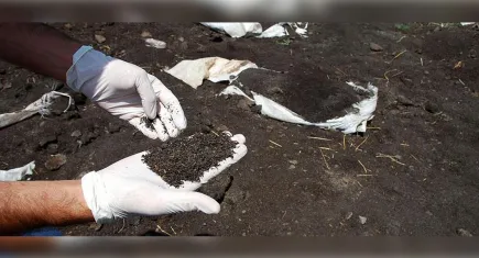 Bayraklı'da 130 bin paket çay imha edildi