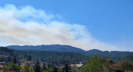 Denizli'de orman yangını çıktı