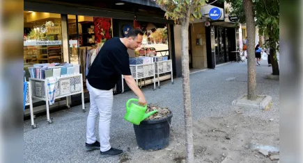 Bornova’ya estetik dokunuş: Sakura ve tarçın ağaçları ekildi!  