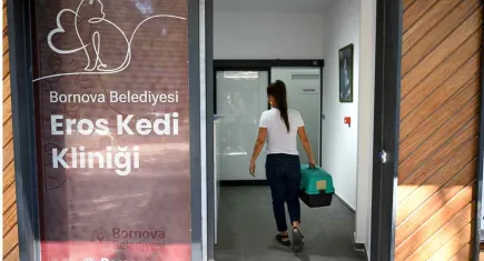 Bornova'da patili dostlara yeni yuva: Eros Kedi Kliniği büyük ilgi görüyor