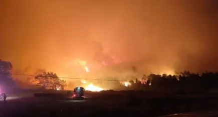 Karacabey’de korkutan orman yangını! Alevler köylere doğru ilerliyor