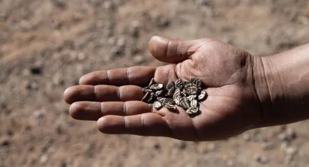 İzmir’de çocuklar toprakla buluşuyor: Tohumdan sofraya etkinliği büyük ilgi görüyor