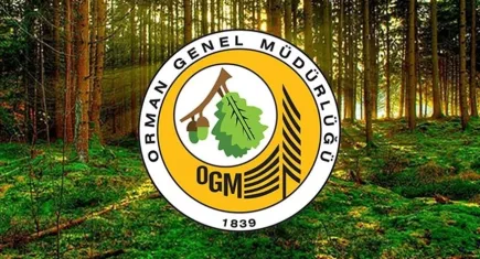 Yeşil vatan kısa film yarışması: Doğayı koruyan filmlere büyük ödüller!