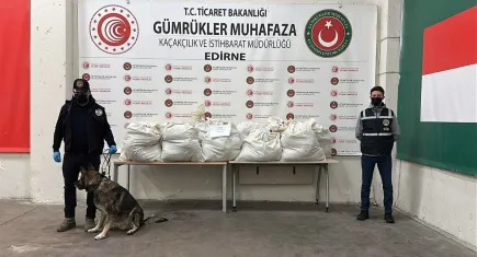 Edirne’de TIR’da 113 kilo esrar ele geçirildi: Narkotik köpeği ‘Uzay’ şüpheliyi yakaladı