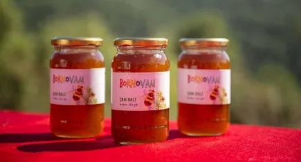 Bornova’da bal hasadı sevinci