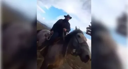 Kayseri'de yılkı atları kavgası mahkemeye taşındı!