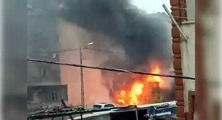 İstanbul'da 50 tavuk ve kuş öldü