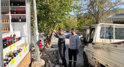 Efes Selçuk’ta tabela denetimi başladı