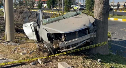 Ağaca çarpan otomobil ikiye bölündü: 2 ölü, 1 yaralı