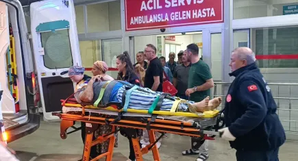 Zeytin toplarken düştü: Durumu ağır!