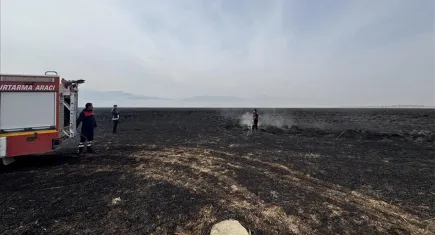 Hakkari'nin Nehil Sazlığı'ndaki yangın 6 gün süren mücadele sonunda söndürüldü