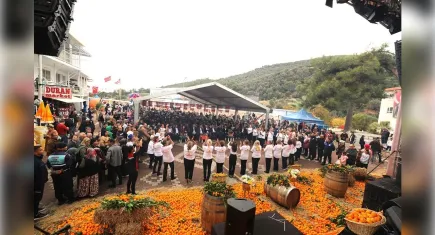 Menderes Mandalina Festivali