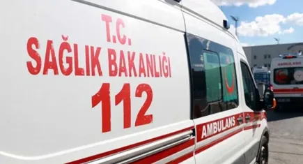Menemen'de kahreden yangın:  30 kedisiyle birlikte hayatını kaybetti