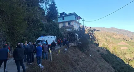 Arılar ölümüne sebep oldu