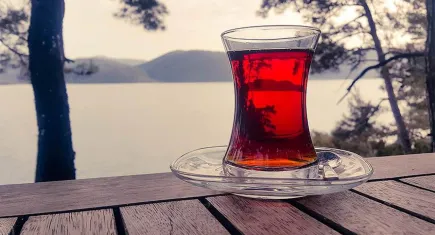Çayın yanında verilen limondan 10 lira alan işletmeye ceza kesildi