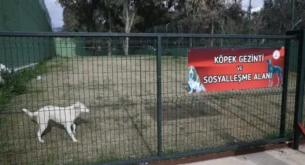 Karşıyaka Belediyesi, 1 yılda 40 bin canın yaşamına dokundu