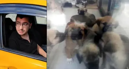 Köpekleri istismar edip öldürmüştü: Ankara’daki dehşet davada gerekçeli karar açıklandı