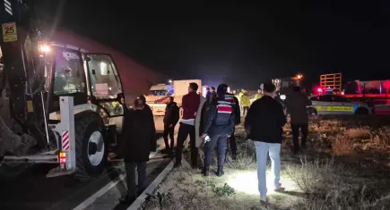 Milyonluk yarış tayları çiftlikten kaçtı: 8'i öldü