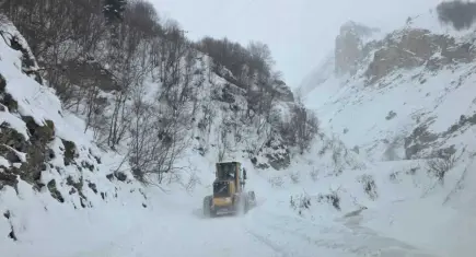 Artvin'de çığ felaketi: 3 kişi çığ altında kaldı!