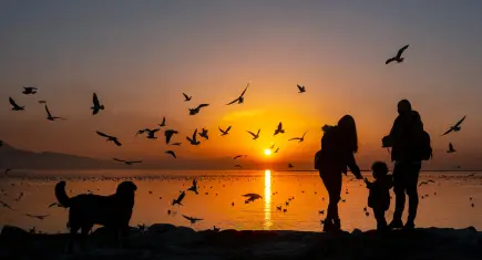 Kardeş şehirlerden kadrajlar Karşıyaka’da buluşacak