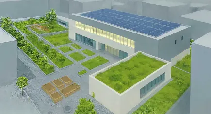 İzmir’de kamu binaları yeşil çatılarla iklime hazırlanıyor