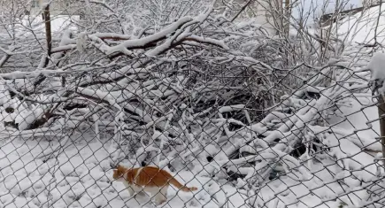 Trakya’da kar mesaisi: Malkara beyaza büründü!